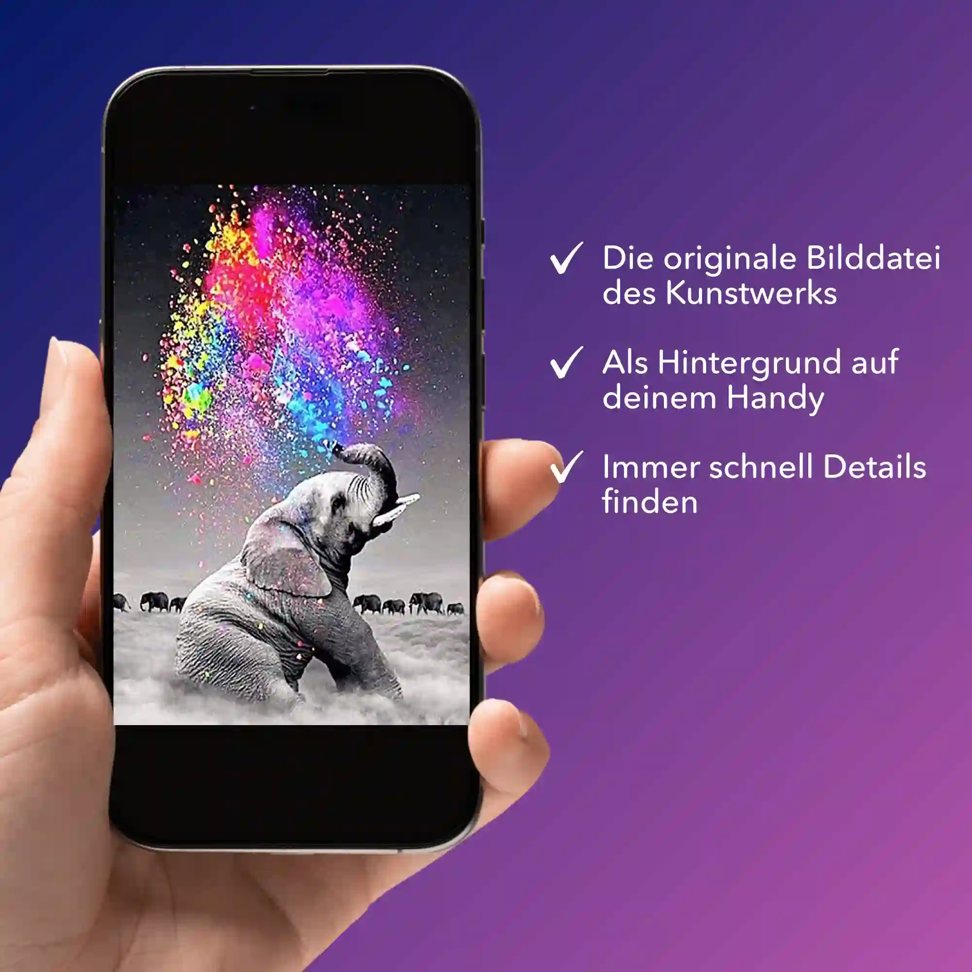 Digitale Bildmappe - Elefant "Farbenspiel" - Image 2