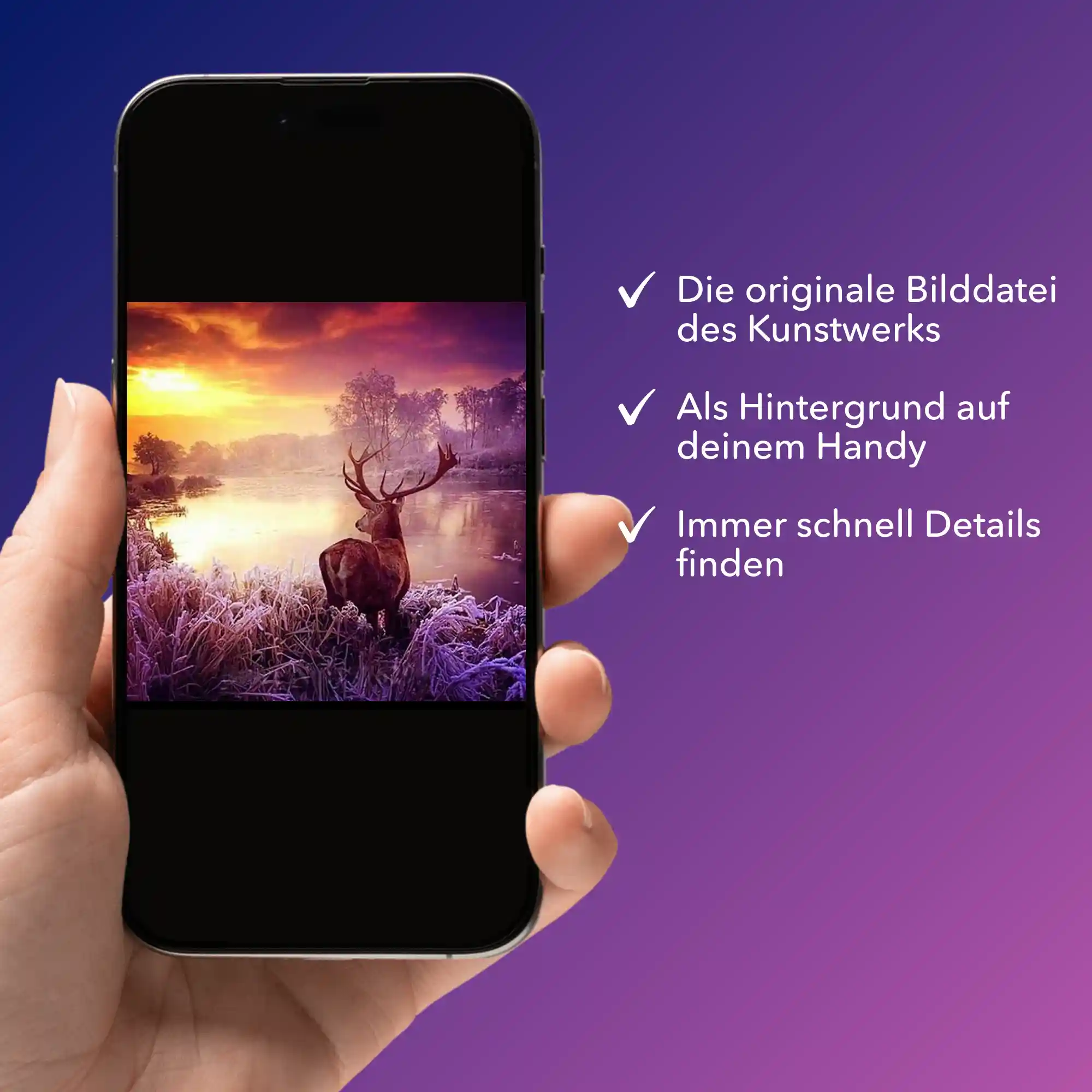 Digitale Bildmappe - Hirsch im Sonnenaufgang - Image 2
