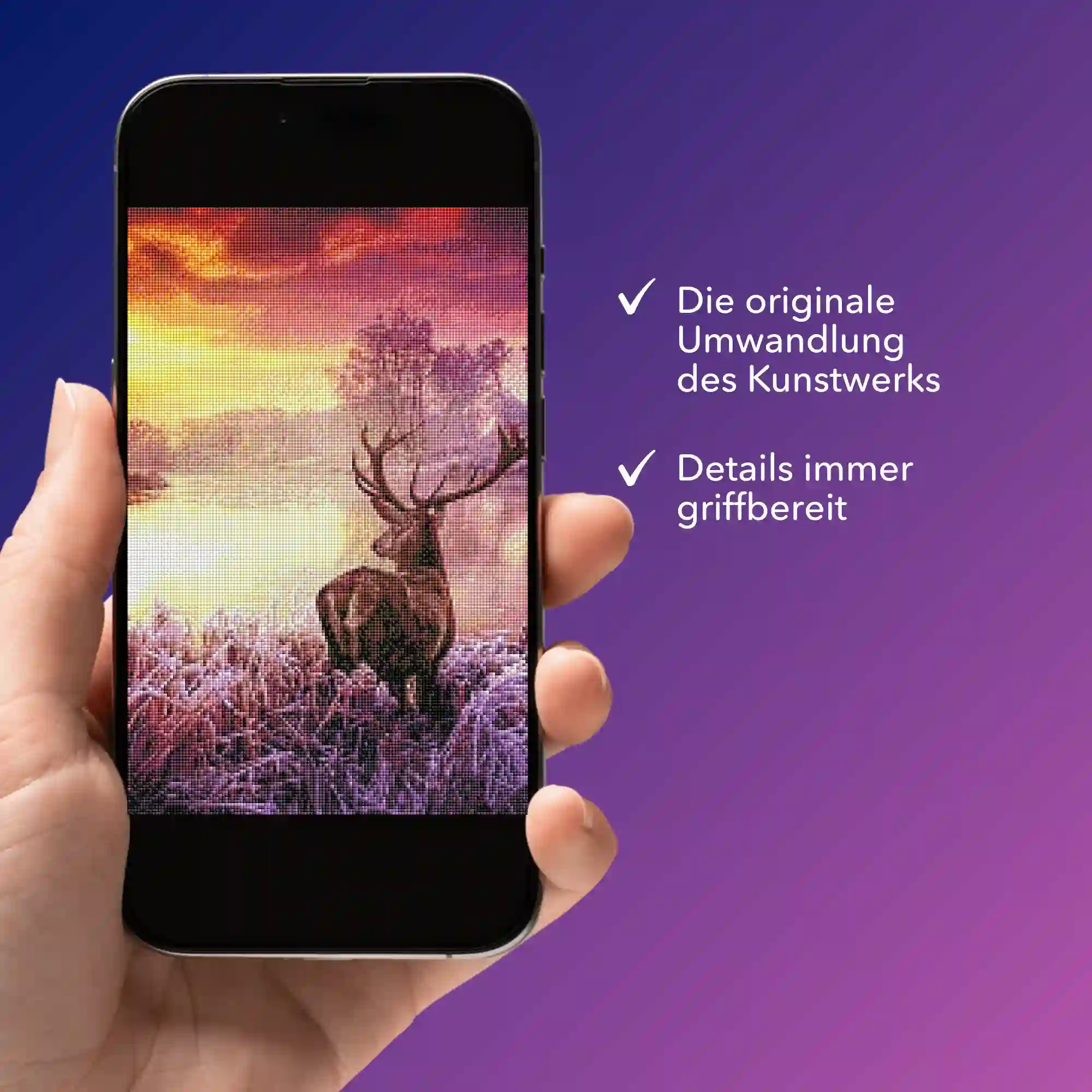 Digitale Bildmappe - Hirsch im Sonnenaufgang - Image 3