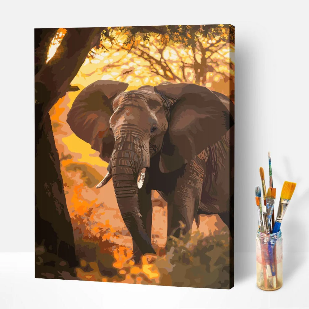 Malen nach Zahlen Set - Elefant im Sonnenuntergang