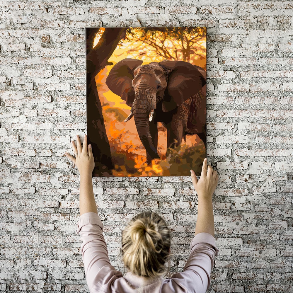 Malen nach Zahlen Set - Elefant im Sonnenuntergang - Image 2